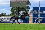 010826-Race 6-La Peregrina-3358