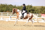 SBM_015462