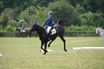 WJ6_5774