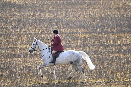 WJ6_8596