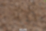 231104A-114726-00290