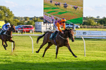 300926-Race 7-Prince Of Calypso-7068