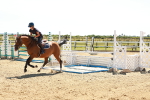 SBM_006976