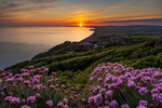 z3624 West Wight Sunset