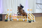 Class 19 - Equiyd 0.85m Amateur Championship Qualifier - First Round (0.85m) portfolio