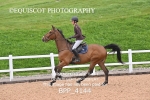 BPP_4144