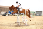 SBM_001648