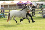 SBM_00460