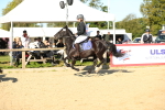 SBM_14954