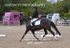 BPP_6037