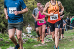 Dovedale-1095