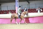 SBM_03335