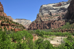 Zion National Pk. -  2012 portfolio