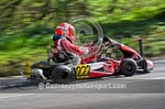 Hill Kart_2010-17