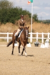 SBM_009608