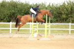SBM_010245