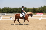 SBM_004303