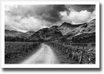 Of Pikes and Men ♦ LANGDALE