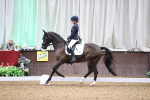 SBM_008344