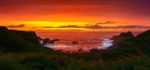 The Golden Coast