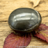 Polished Whitby Ammonite Nodule 031