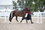 SBM_23063