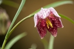 20120226-_MG_8867