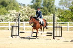 SBM_007588