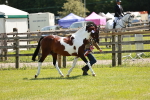 SBM_05491