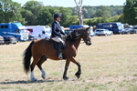 WJ6_8230