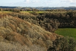 DSC06410
