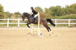SBM_007912