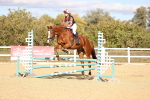 SBM_003338