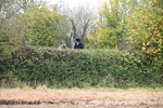 WJ6_7571