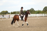 SBM_05568