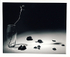 Black & white rose in glass vase