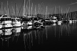Marina (Sausalito) #5