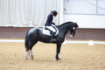 SBM_000231