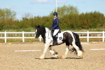 SBM_000293