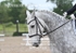 BPP_0568