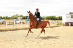SBM_006522