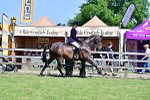 SBM_17544