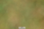 260730-120627-00604
