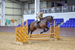 SBM_003352