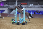 SBM_009188