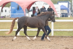 SBM_08412