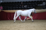 SBM_05025