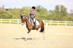 SBM_007993