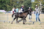 WJ6_4451