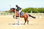 SBM_007011